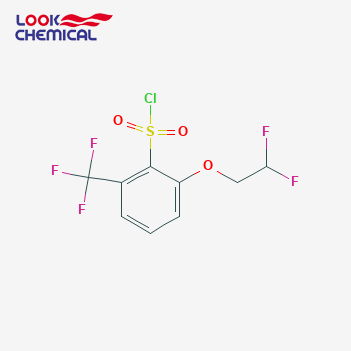 2-(2,2-二氟乙氧基)-6-三氟甲基苯磺酰氯