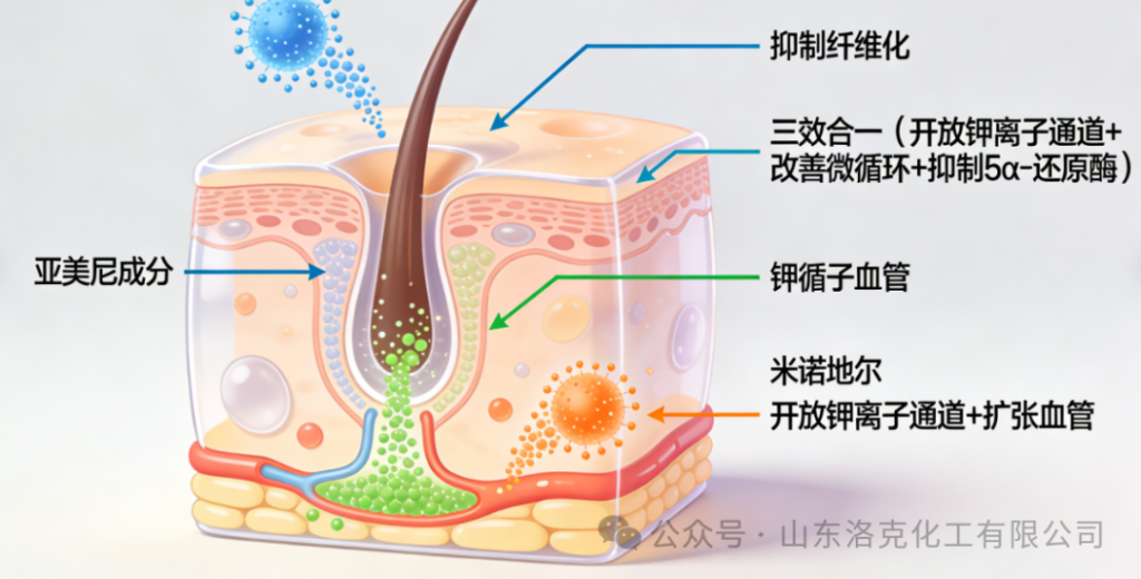 亚美尼斯、可比落、米诺地尔,到底谁更略胜一筹?